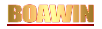 Logo Boawin